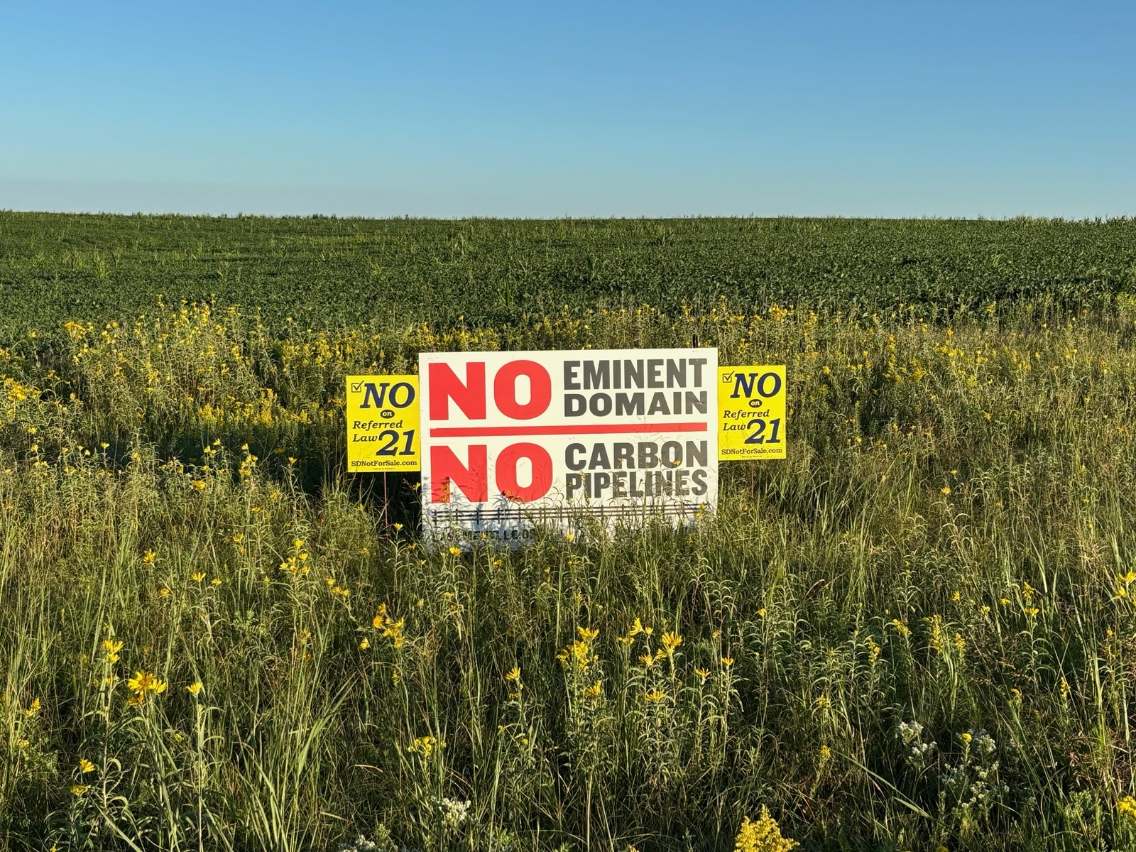 That moment made something unmistakably clear: